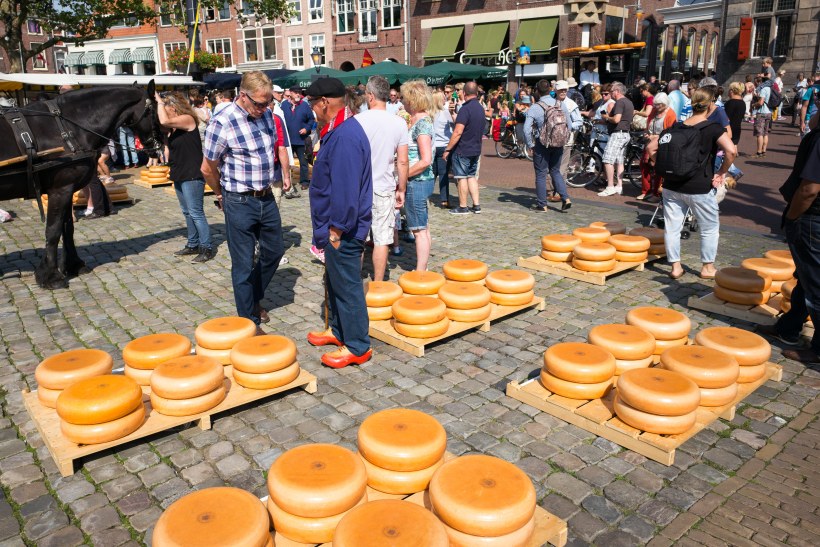 Käsemarkt in Gouda