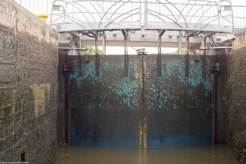 2016 Schleusen-4.jpg